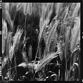 26072015-IMG_5595